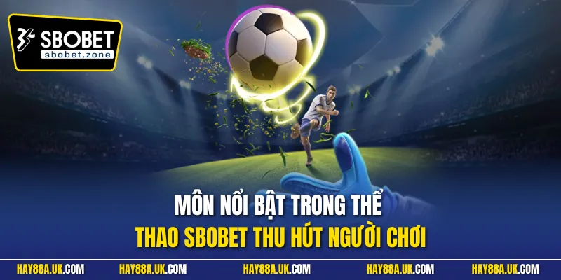 Môn nổi bật trong thể thao Sbobet thu hút người chơi