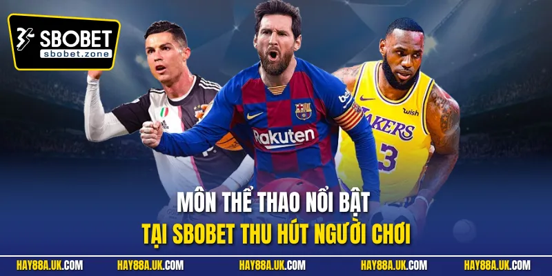 Môn thể thao nổi bật tại Sbobet thu hút người chơi